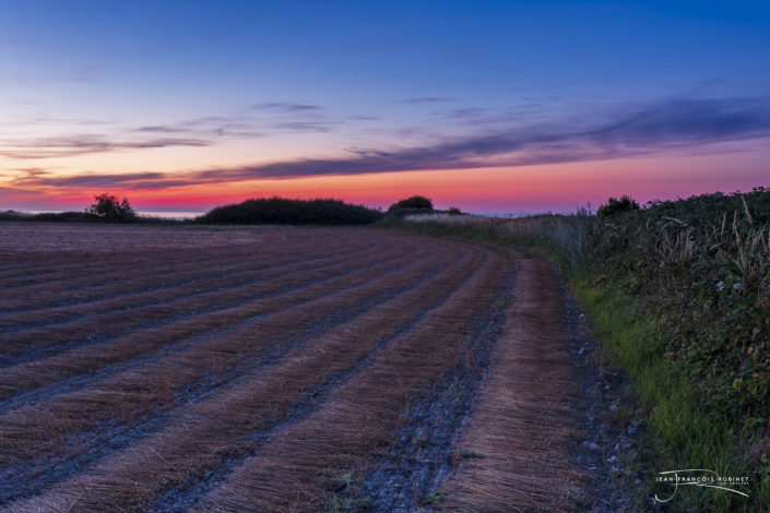 Photographie Paysage Normand - Moisson d'été