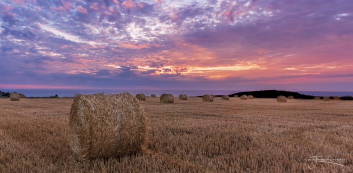 Photographie Paysage Normand - Moisson d'été