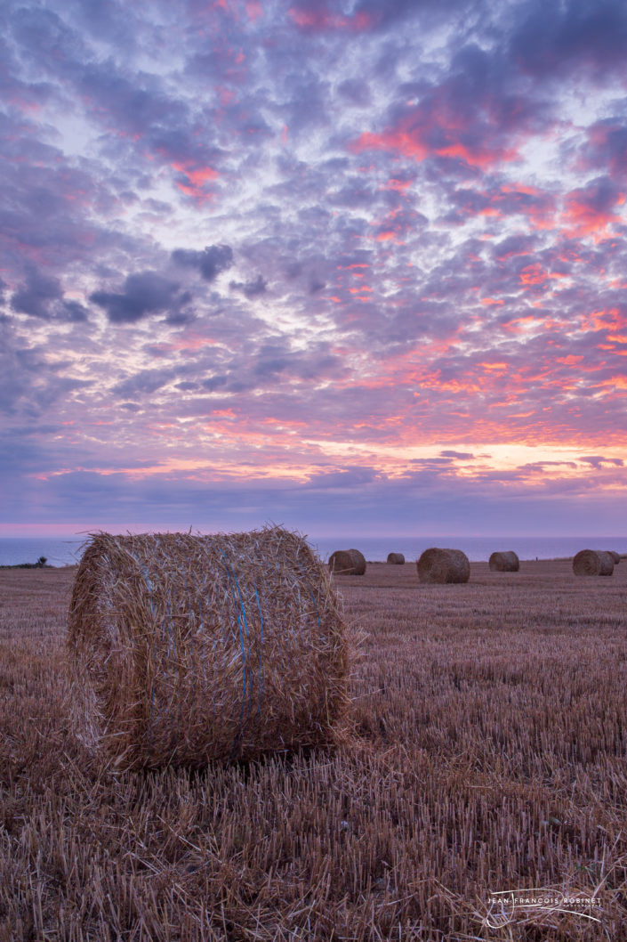 Photographie Paysage Normand - Moisson d'été