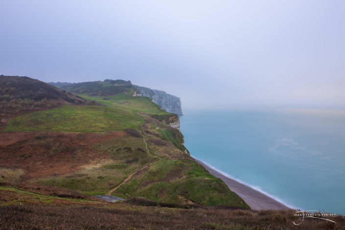 Photographie Paysage Normand - Les tilleuils