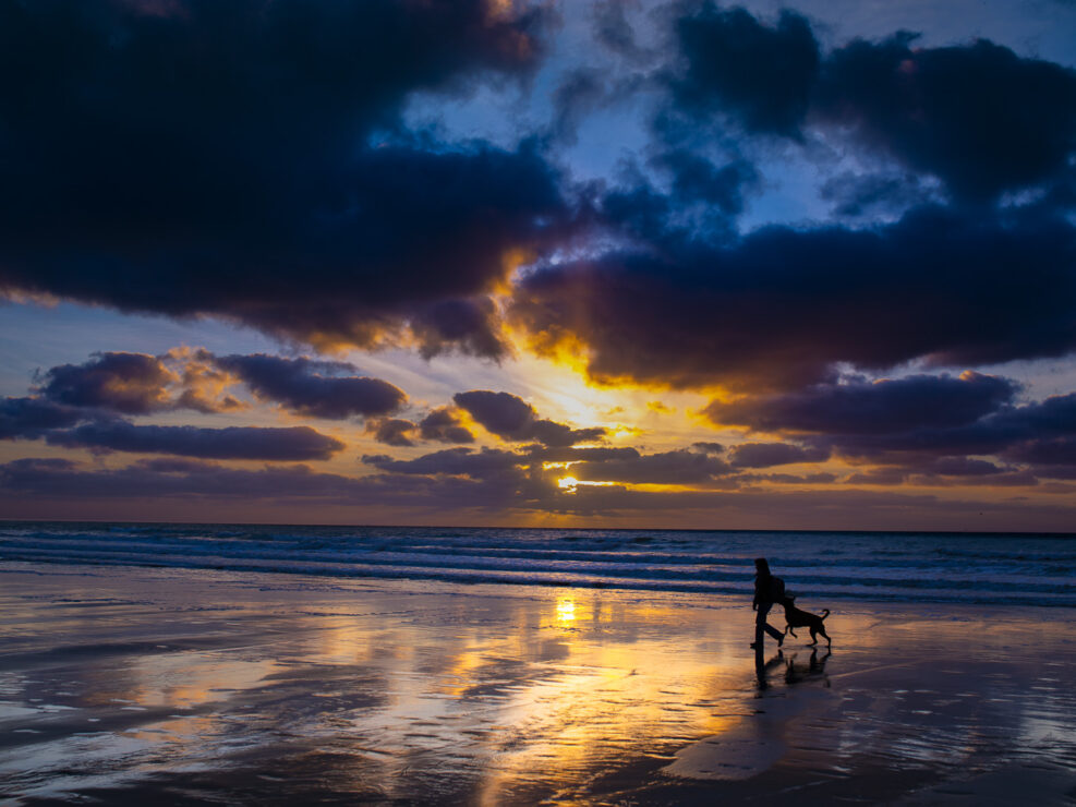 Photographie Galerie Net Horizon, Plage Saint Jouin Bruneval, Normandie