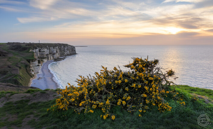 Photographie Galerie Net Horizon, Côte d'Albâtre, Les Tilleuils, Normandie